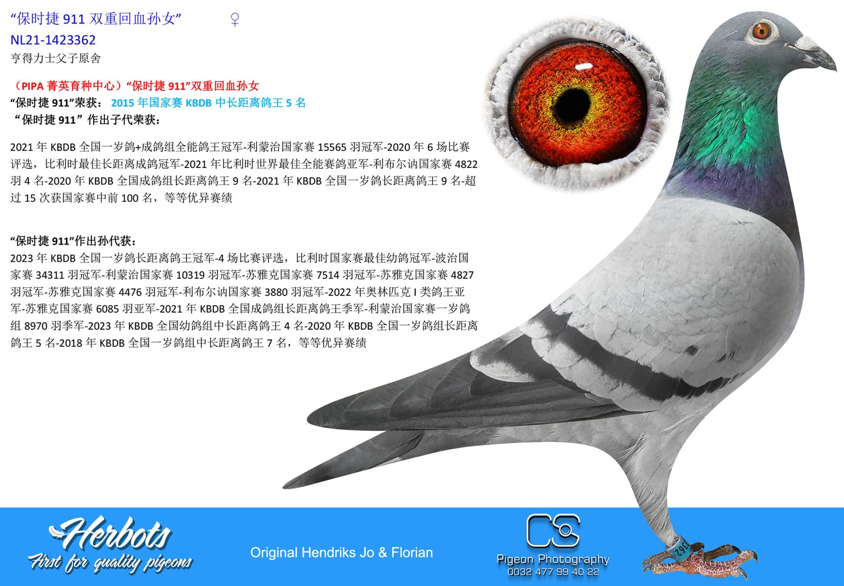 pigeon: “保时捷911双重回血孙女”