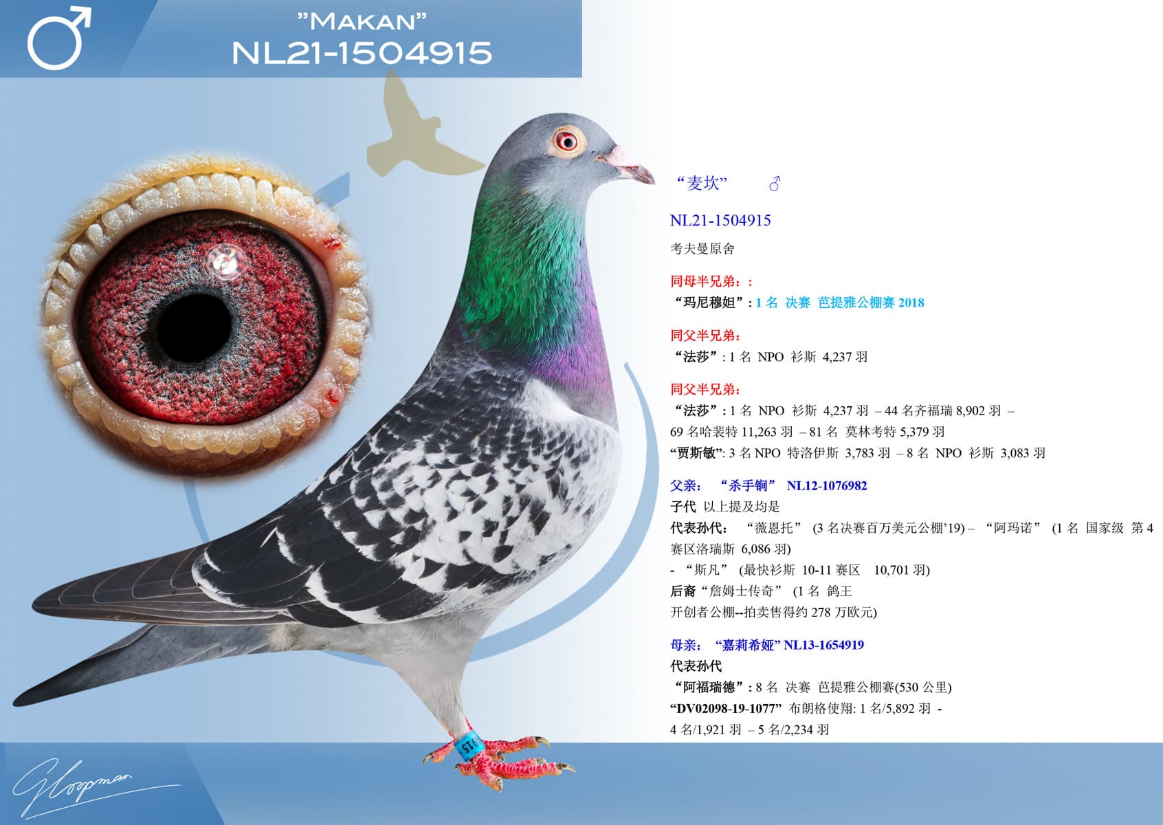 pigeon: undefined