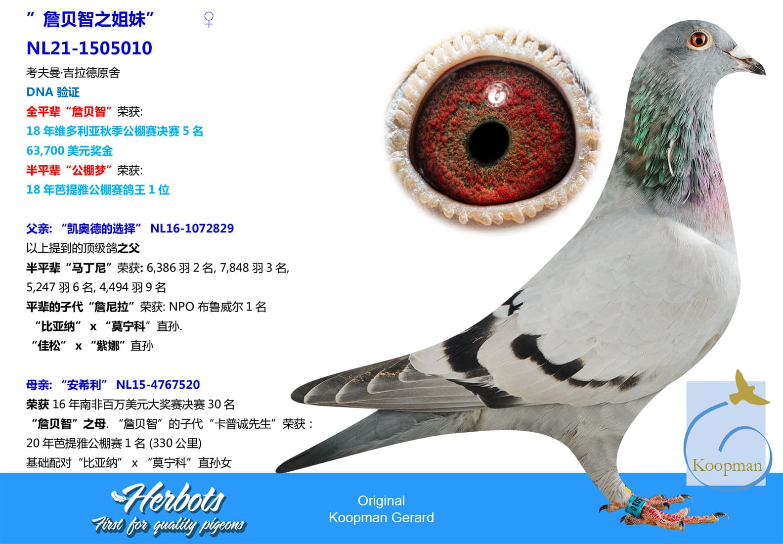 pigeon: ”詹贝智之姐妹”