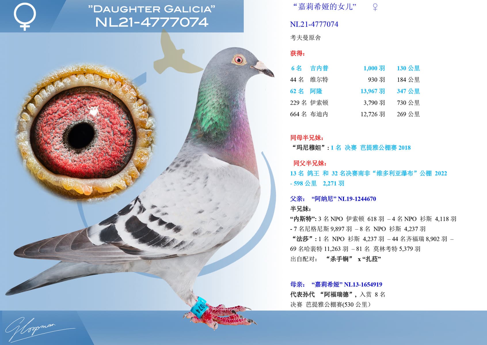 pigeon: undefined