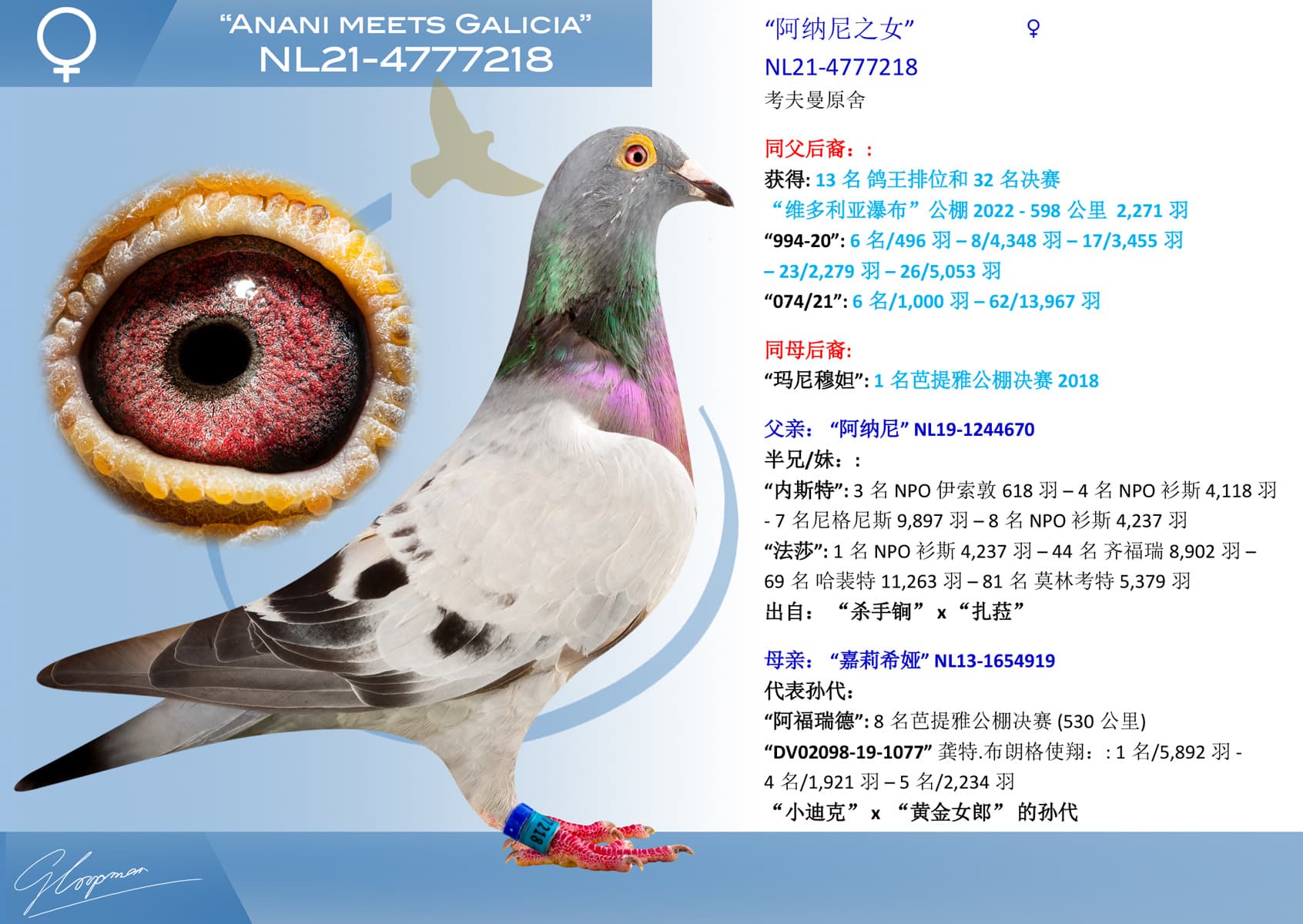 pigeon: undefined