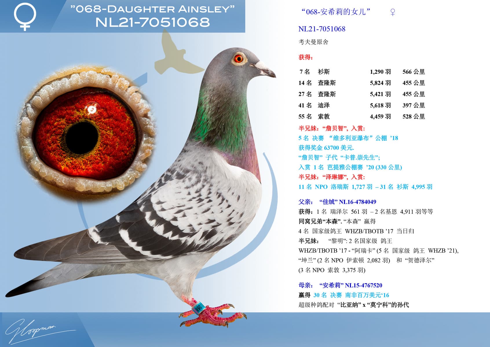 pigeon: undefined