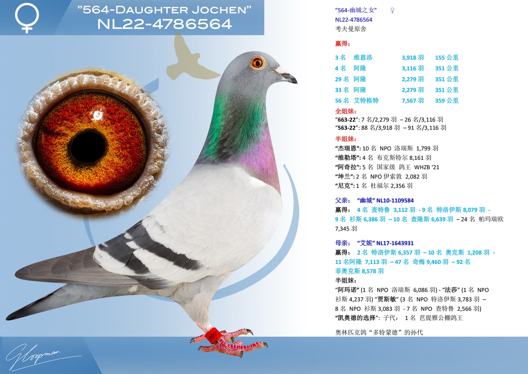 pigeon: ”564-幽城之女”