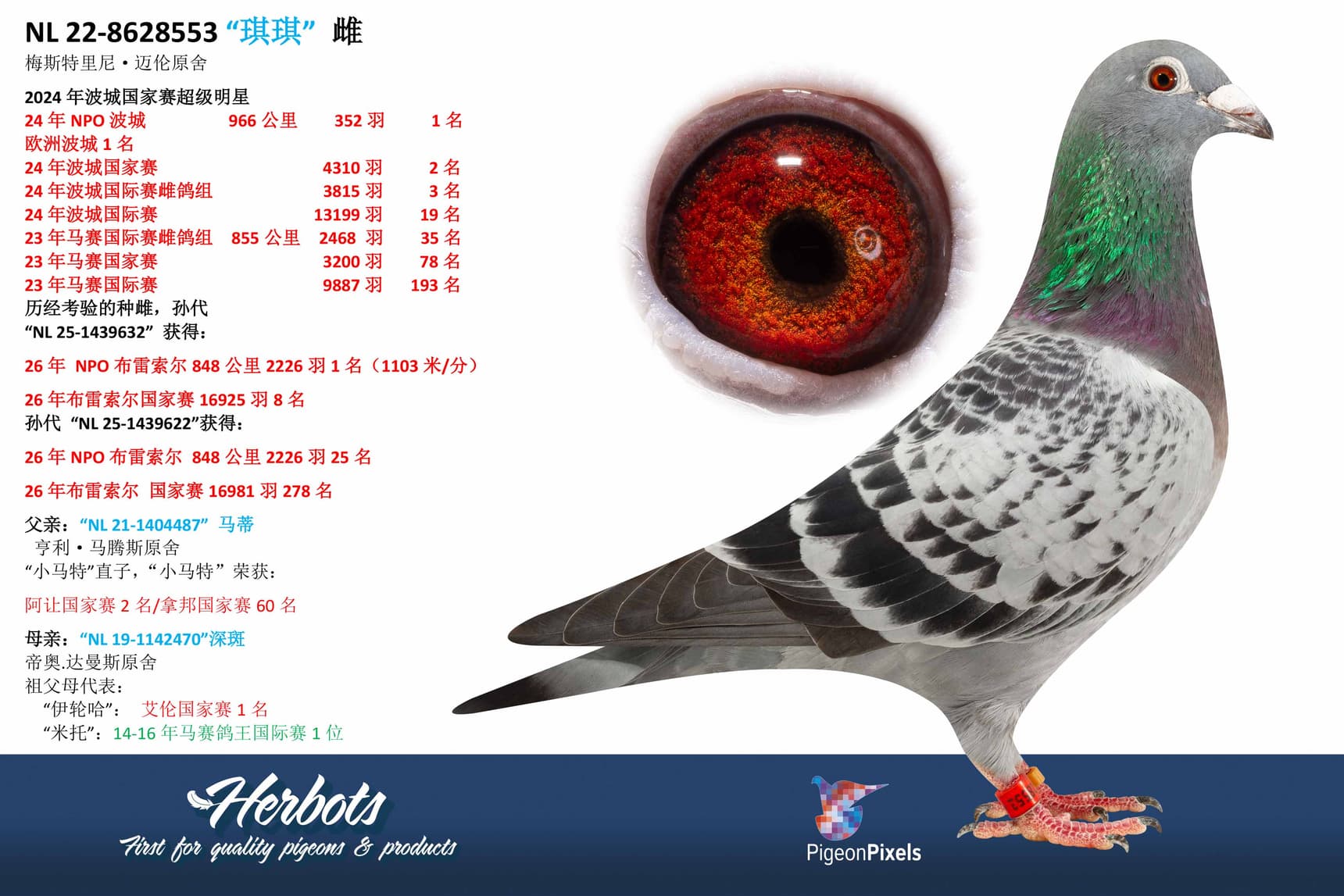 pigeon: undefined