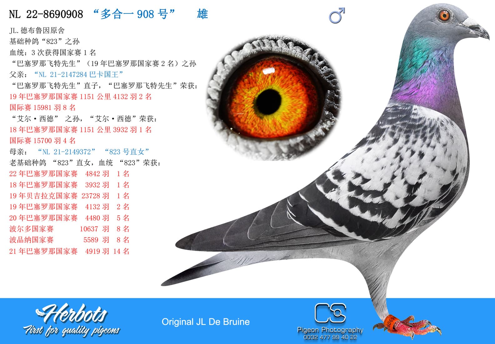 pigeon: “多合一908号”