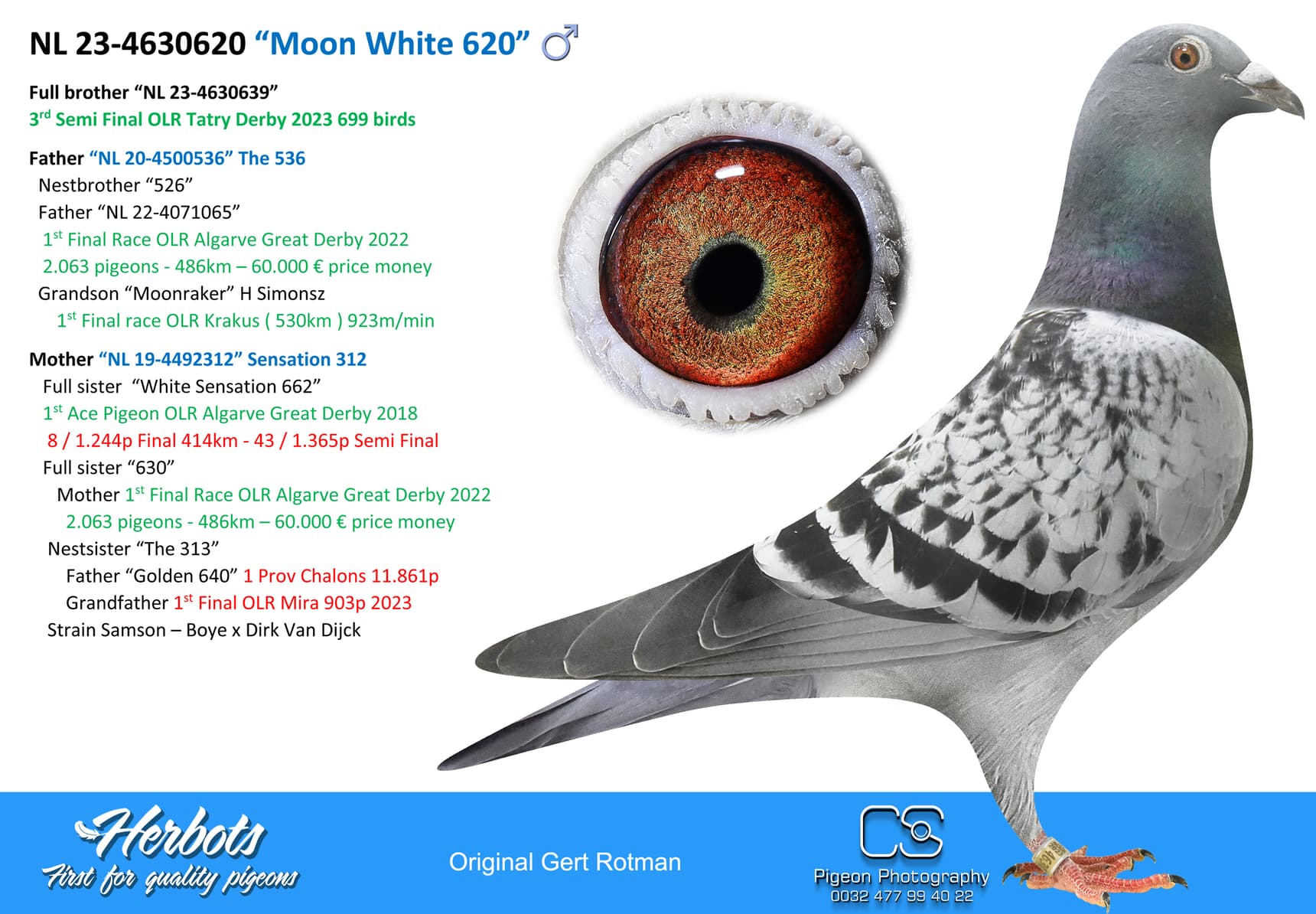 pigeon: “Moon White 620”