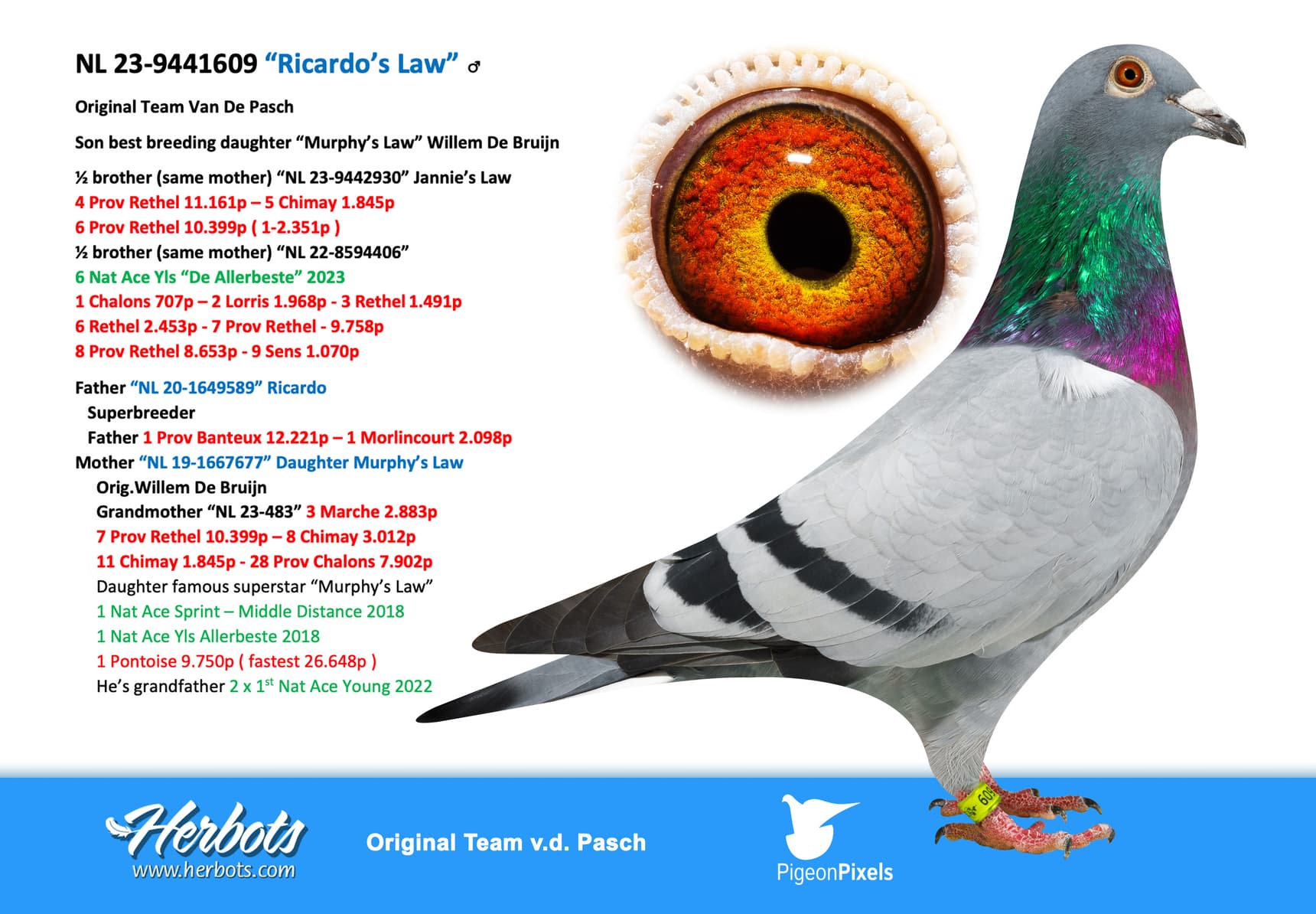 pigeon: “Ricardo’s Law”