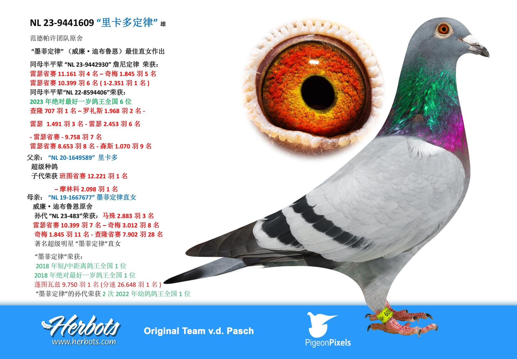 pigeon: “里卡多定律”
