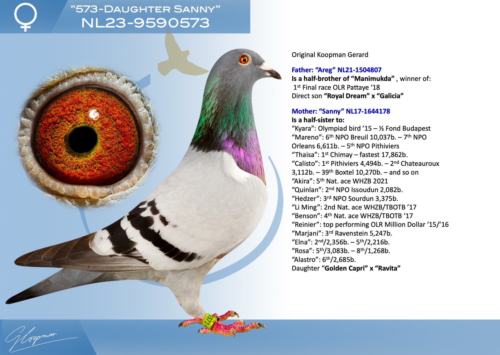 pigeon: "573-Daughter Sanny"