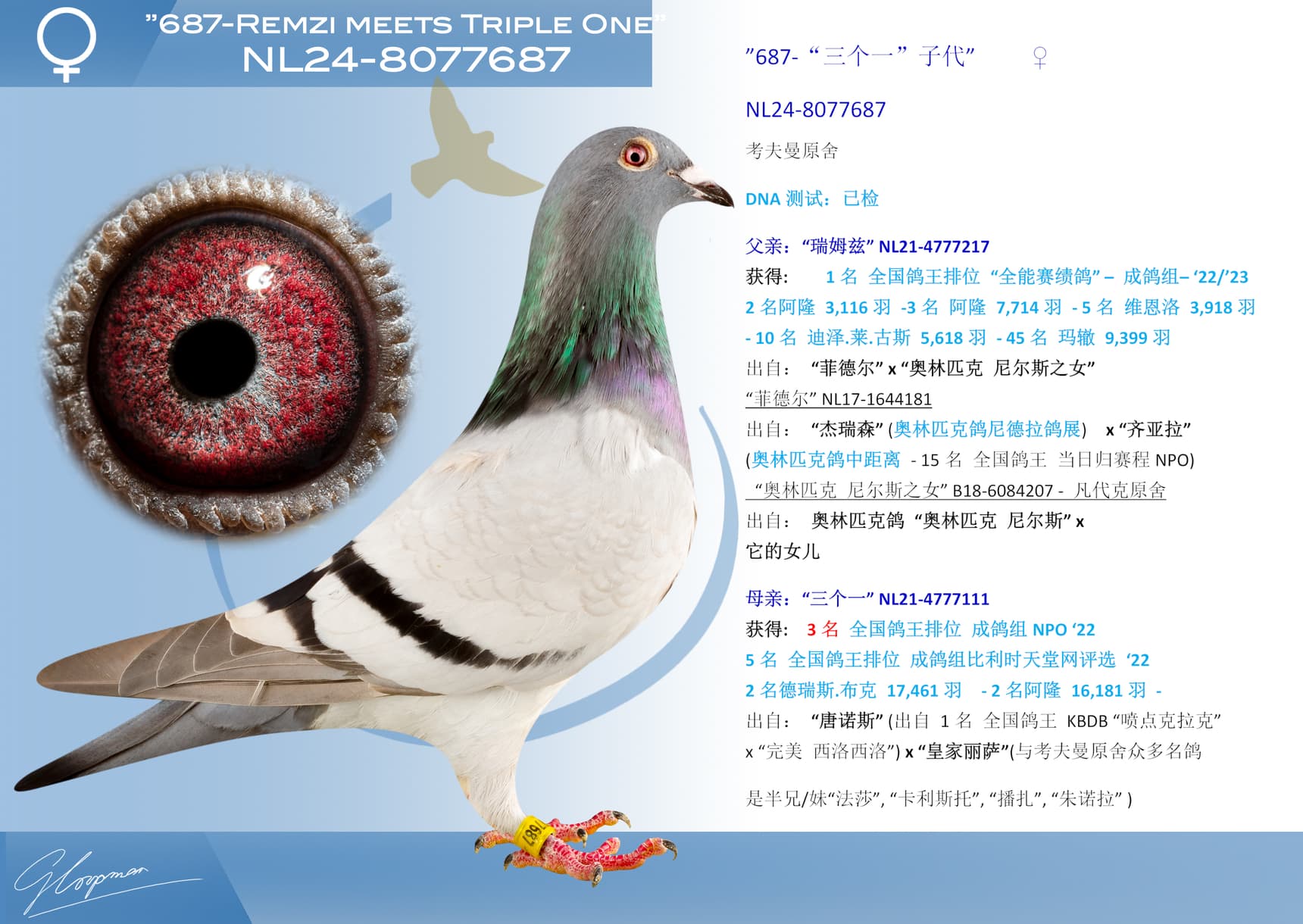 pigeon: undefined