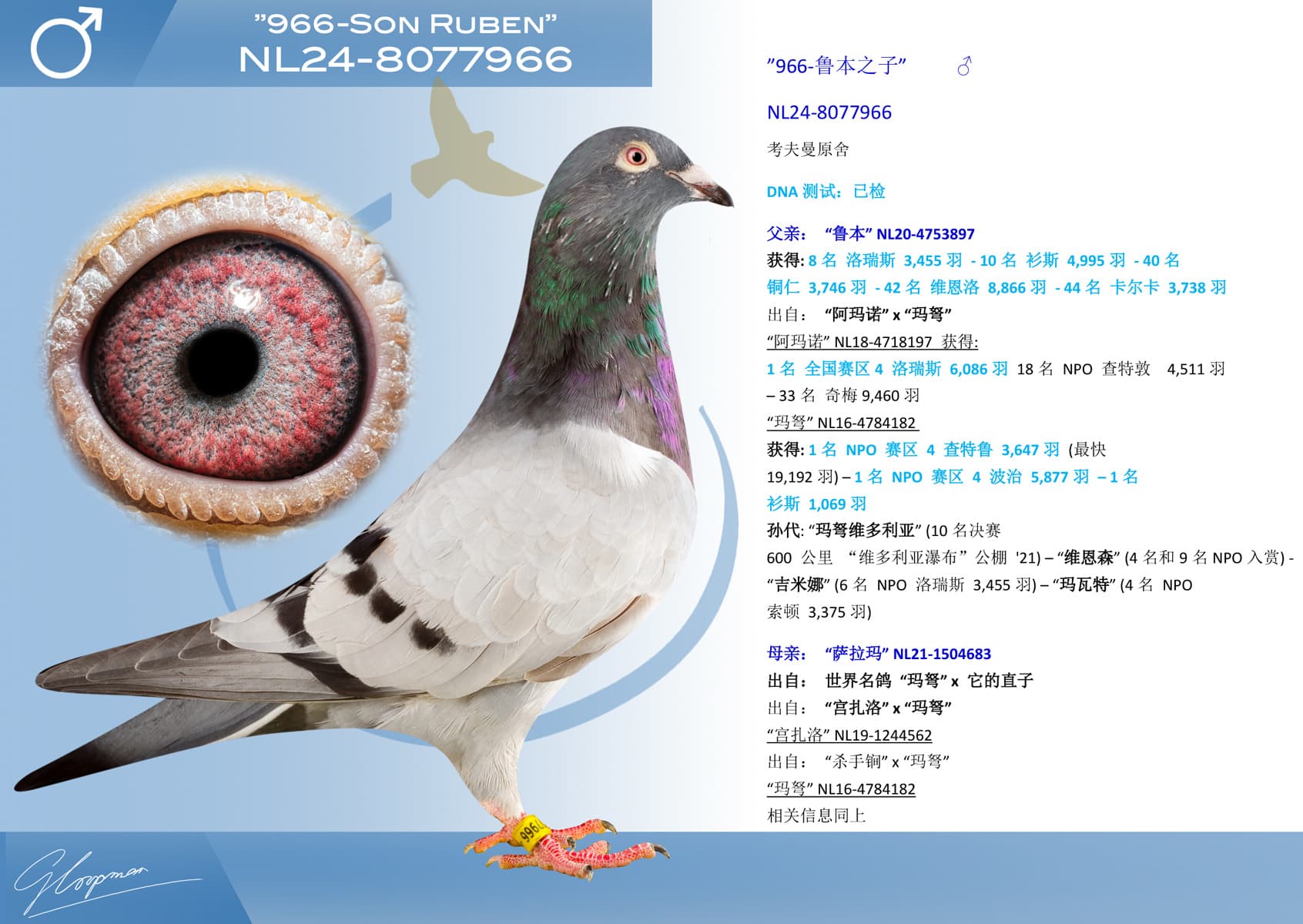 pigeon: undefined