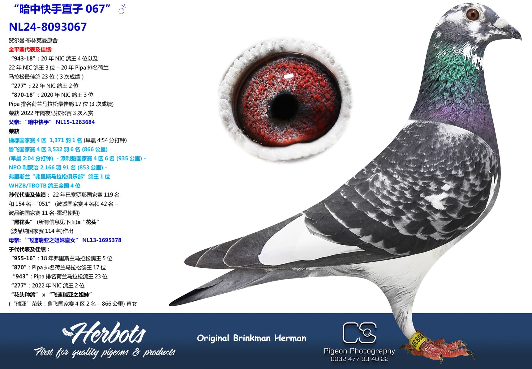 pigeon: “暗中快手直子067”