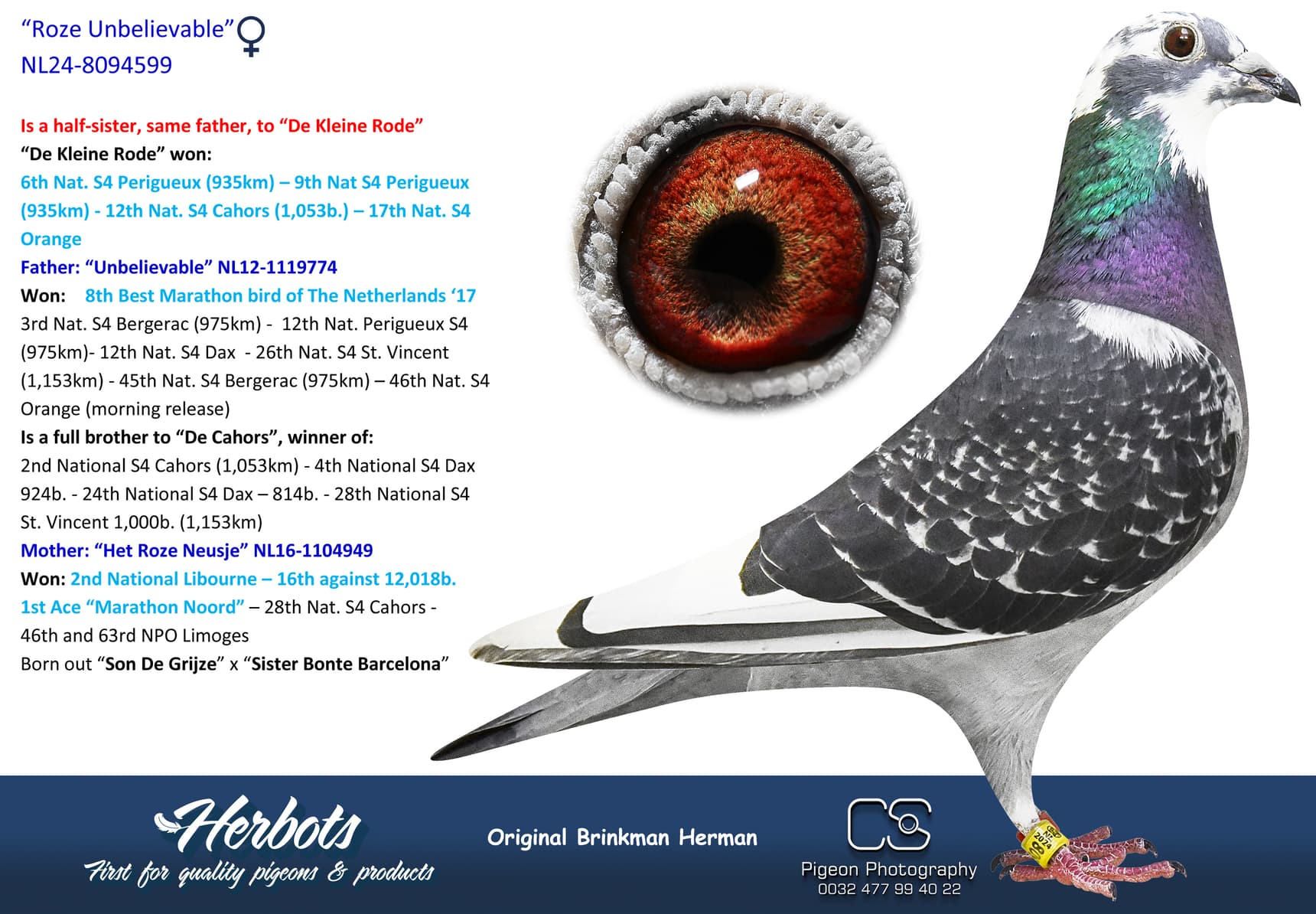 pigeon: “Roze Unbelievable”