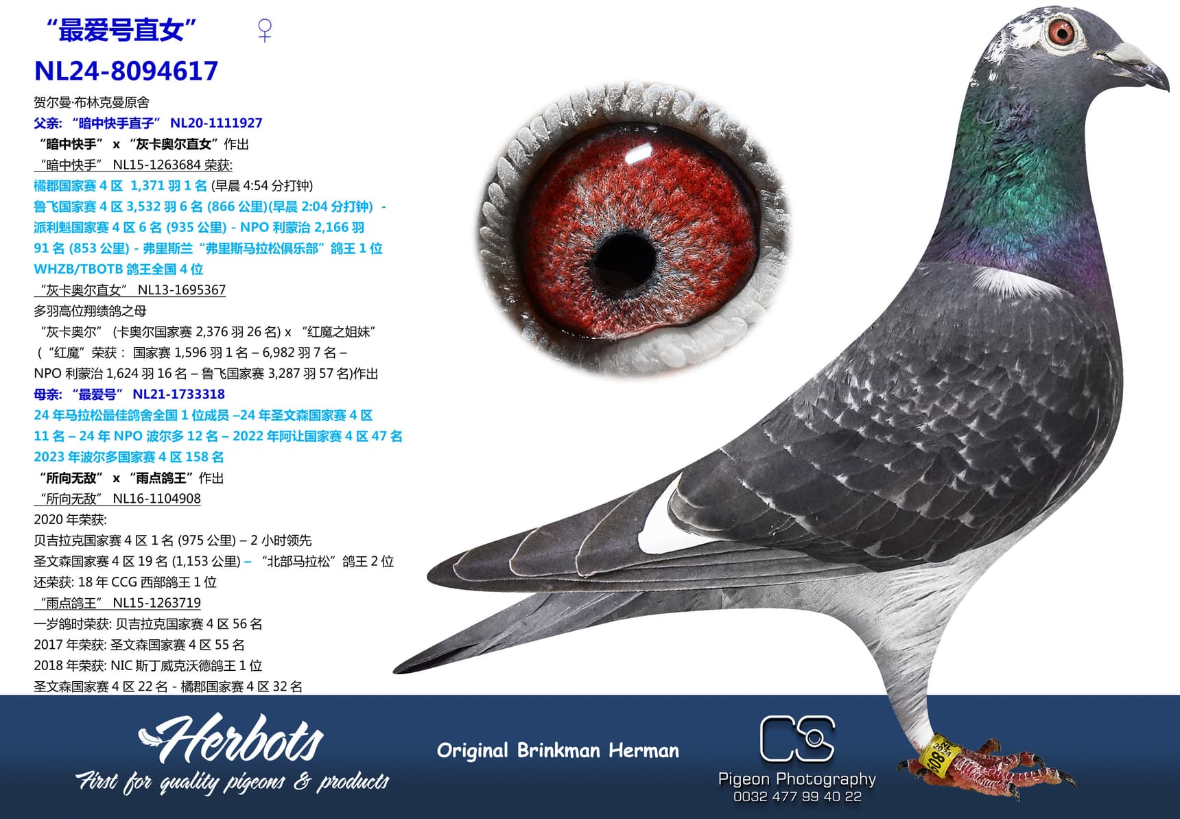 pigeon: “最爱号直女”