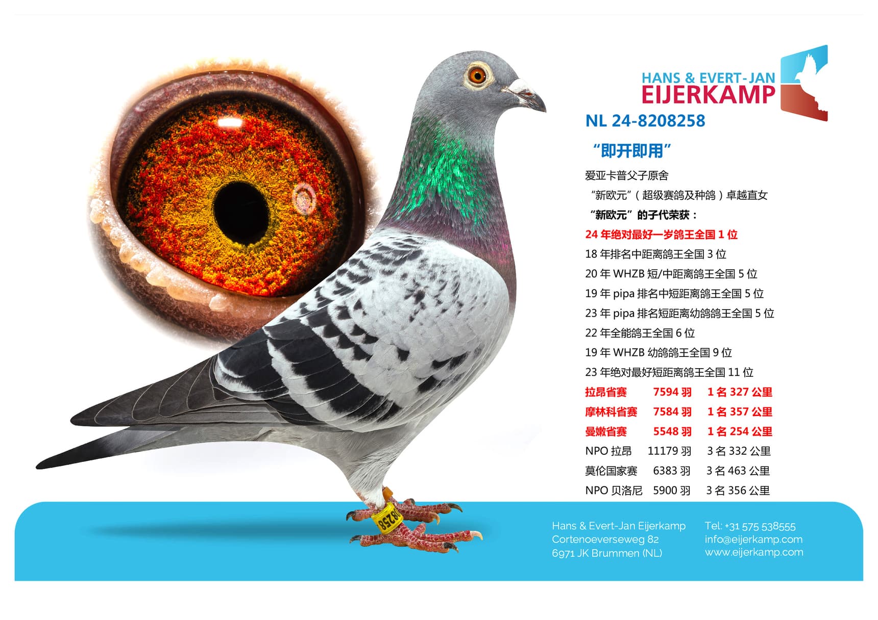 pigeon: “即开即用”