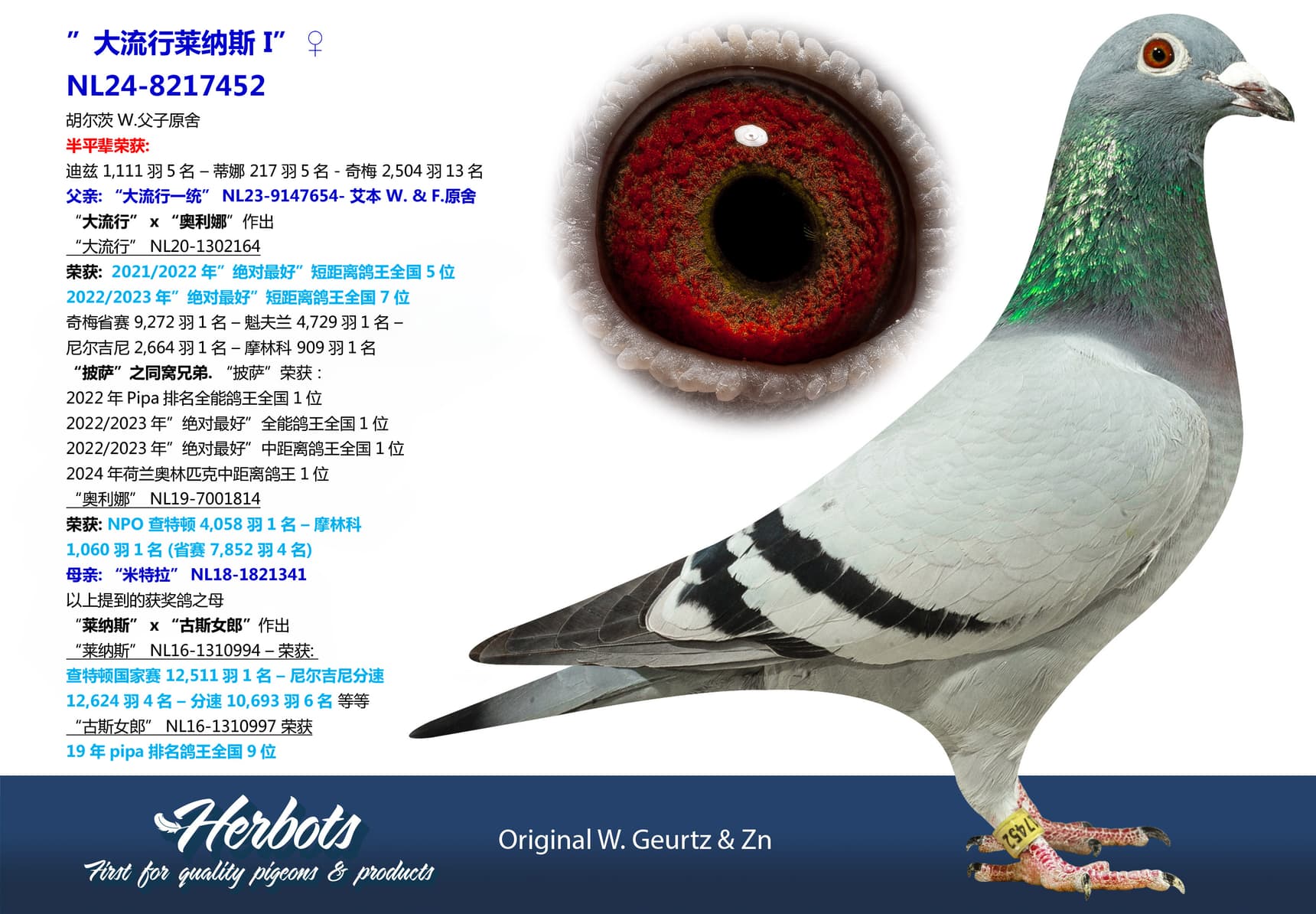 pigeon: ”大流行莱纳斯 I”