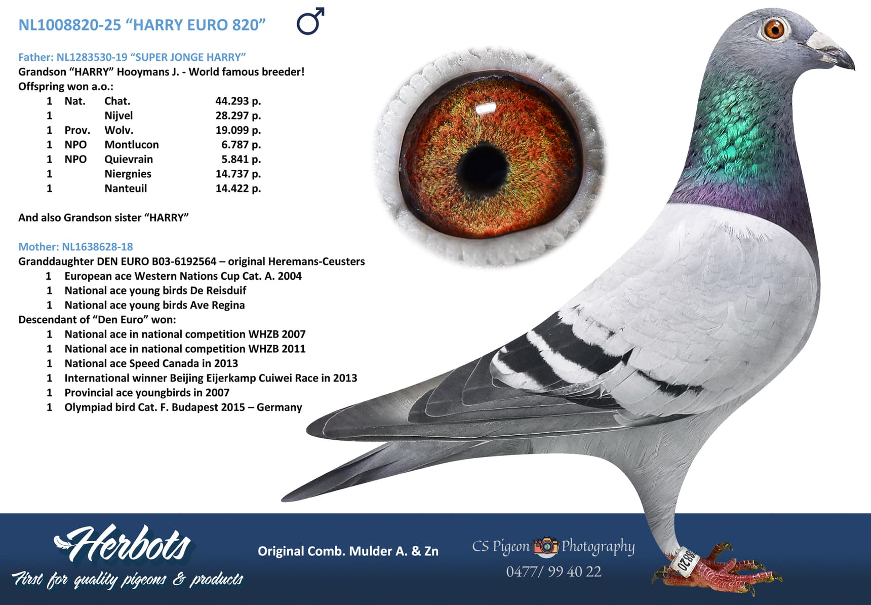 “HARRY EURO 820”