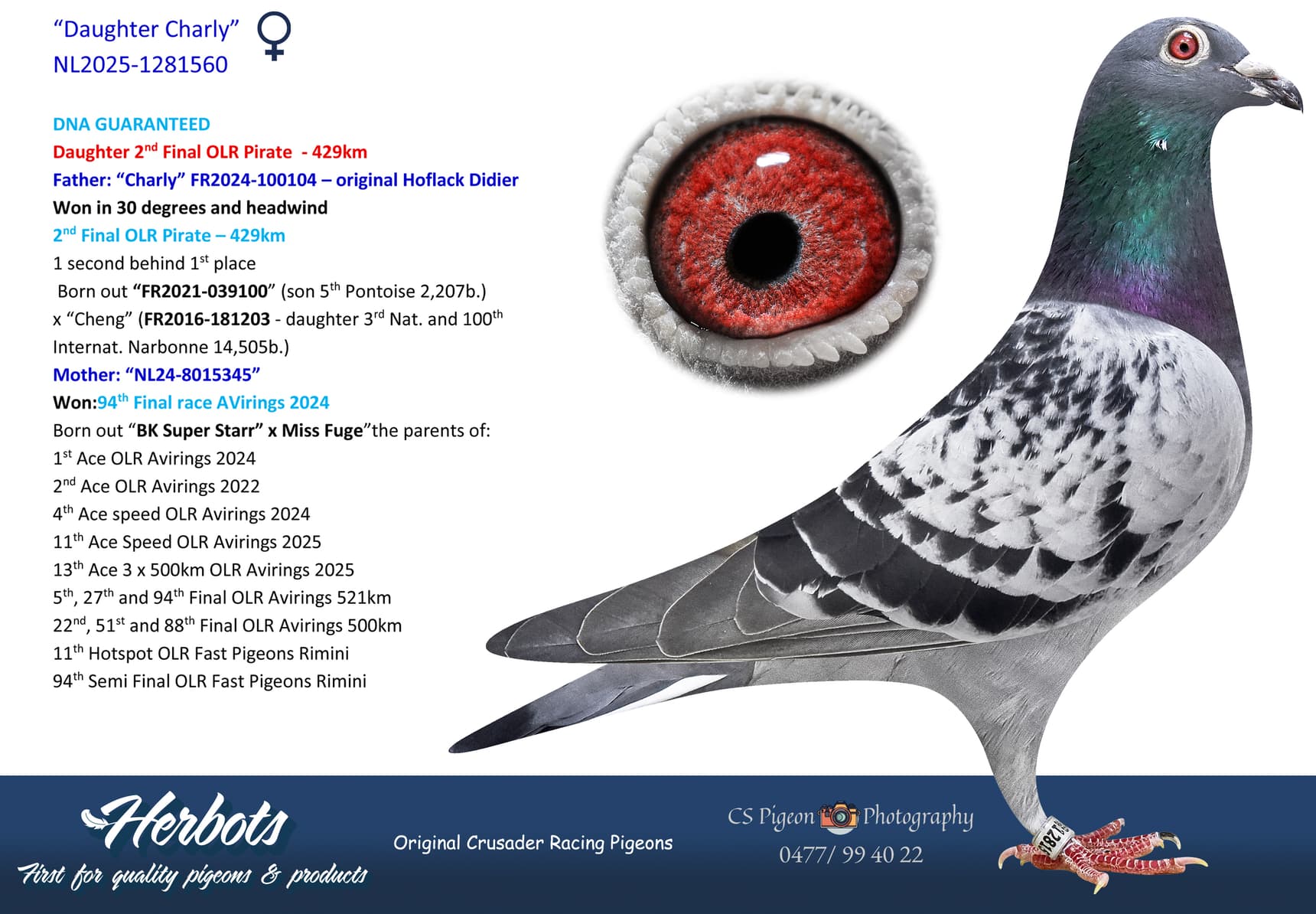pigeon: undefined