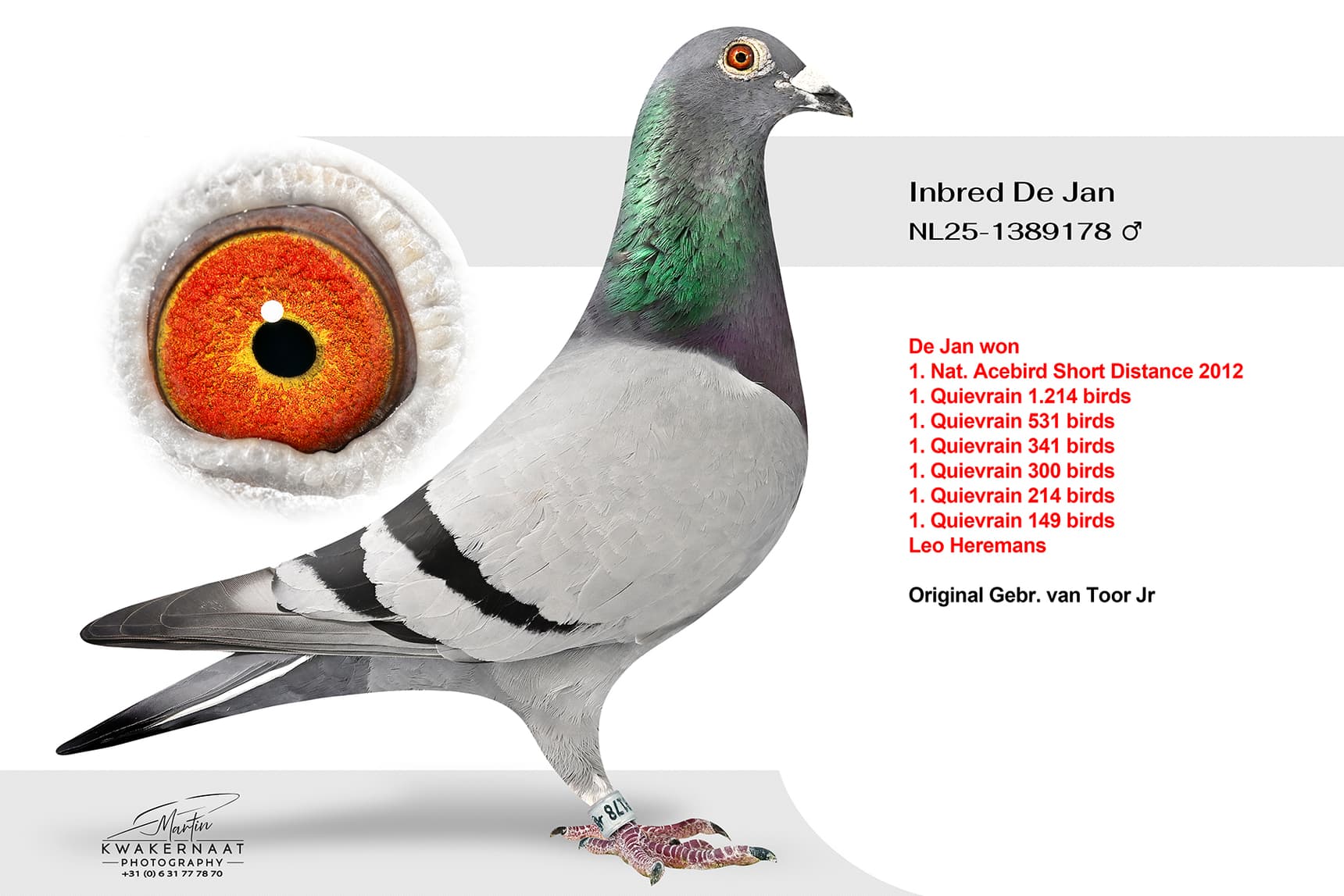 Inbred De Jan