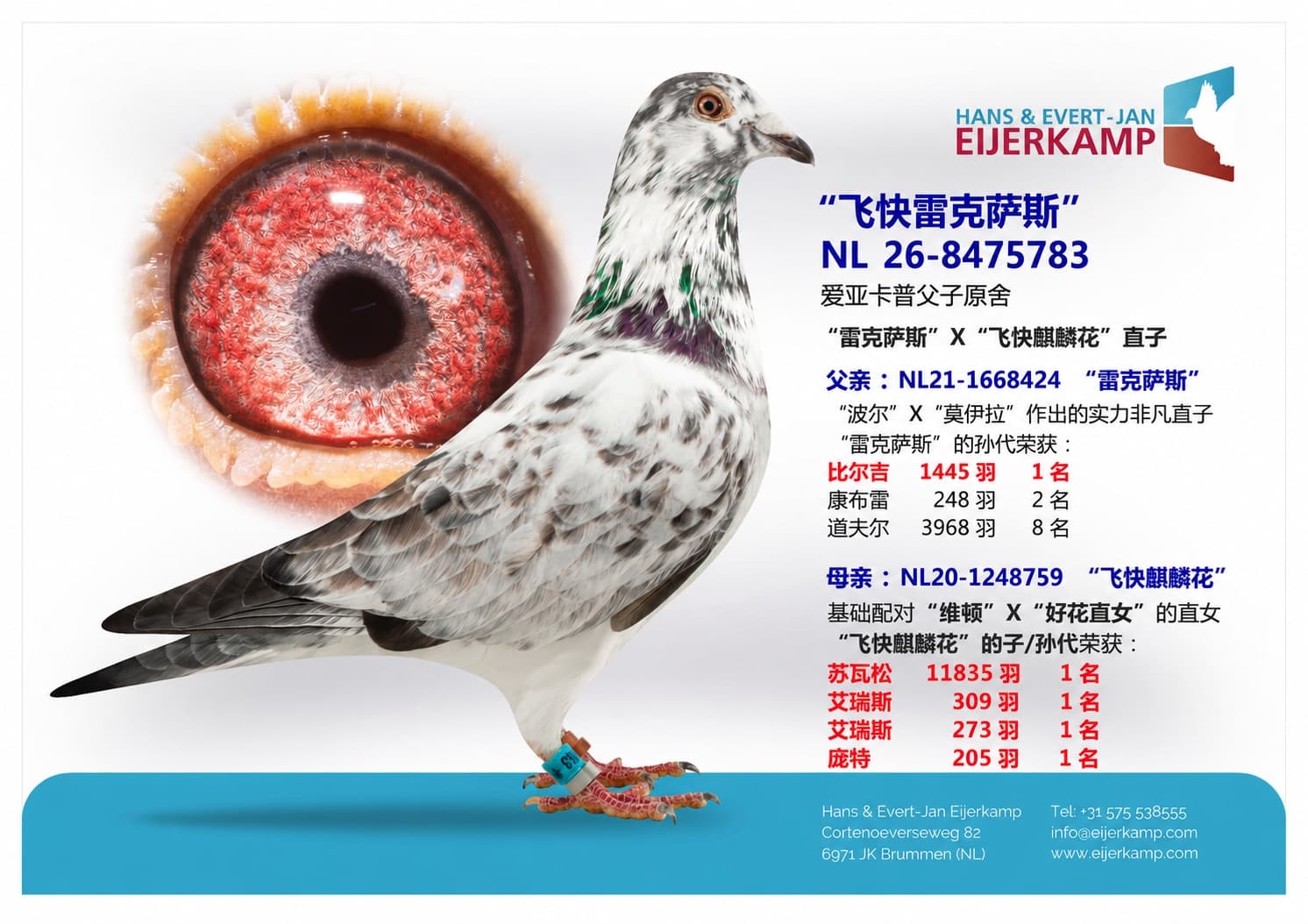 pigeon: undefined