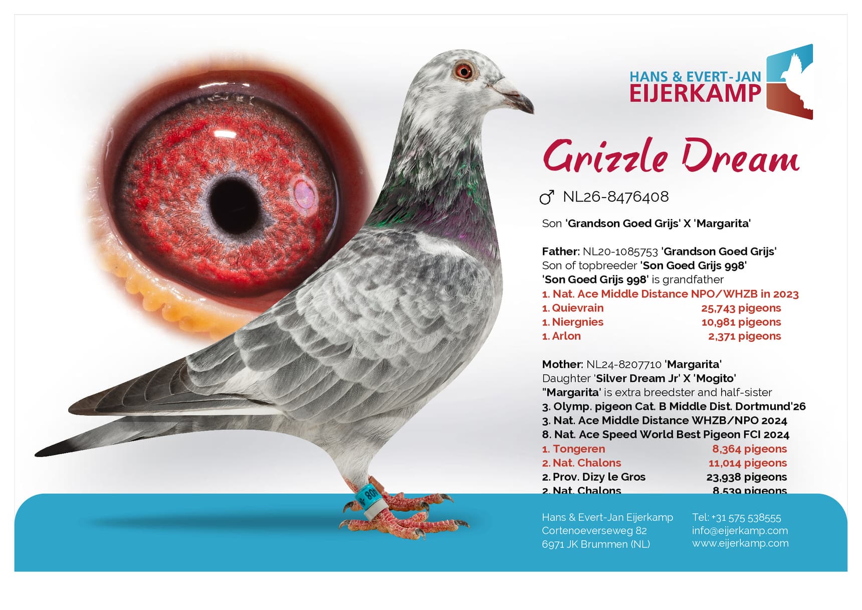 pigeon: undefined