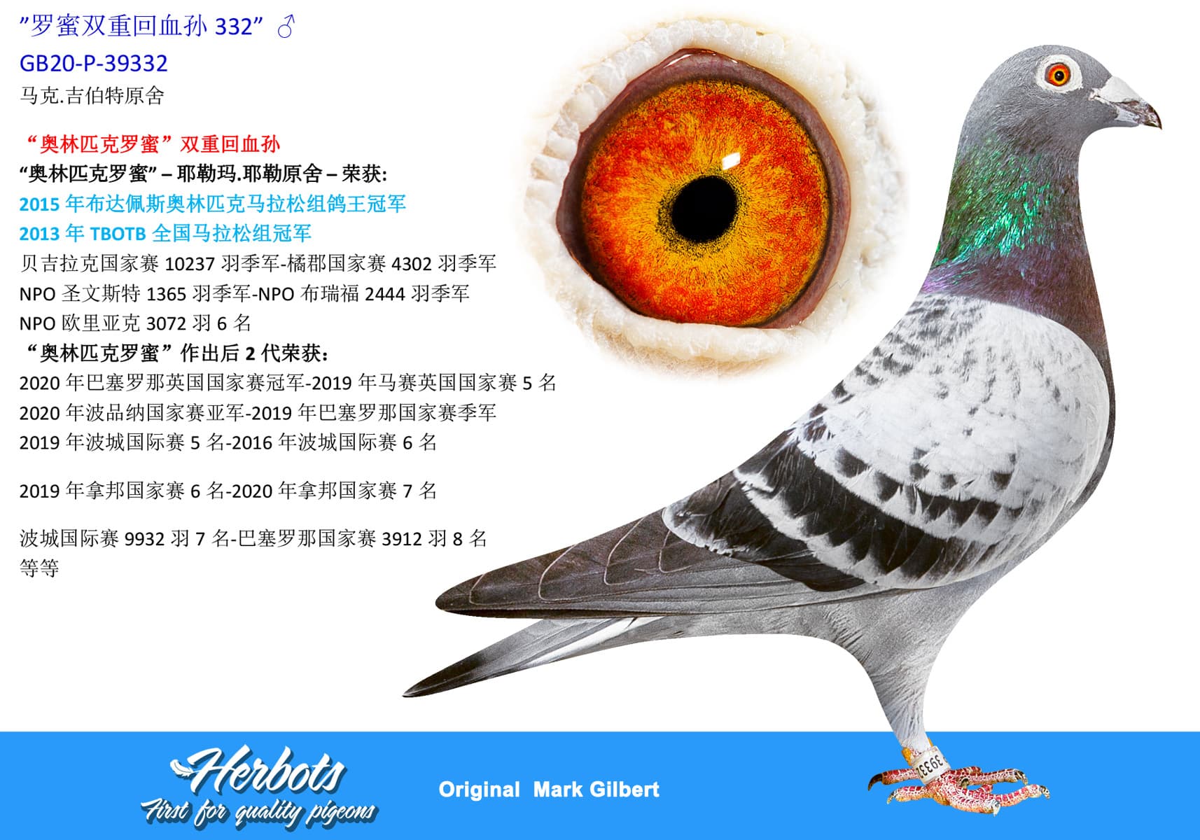 pigeon: undefined