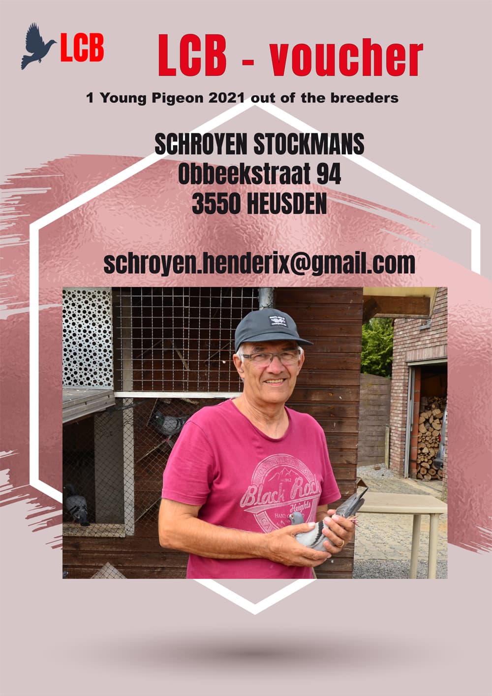 pigeon: Voucher youngster 2021 out of breeders