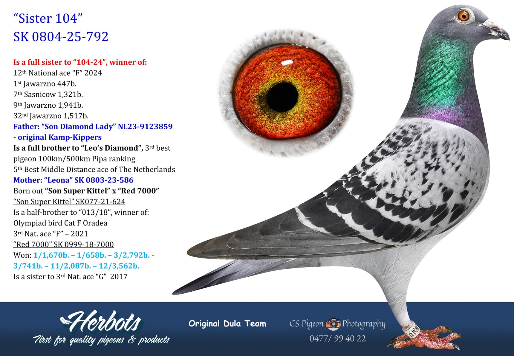 pigeon: undefined