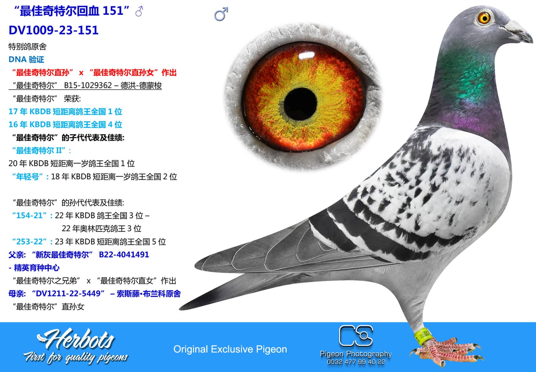 pigeon: “最佳奇特尔回血151”