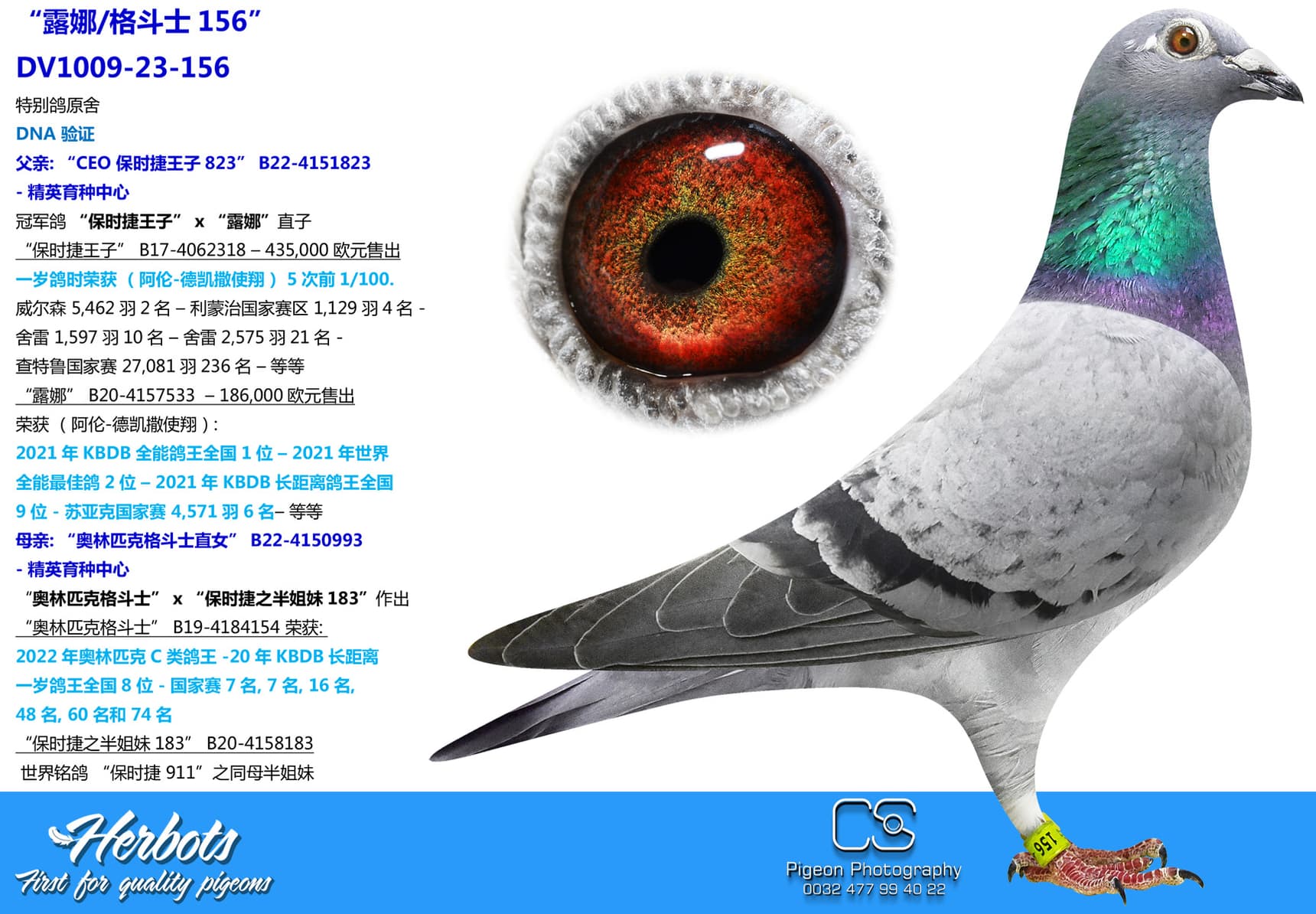 pigeon: “露娜/格斗士156”