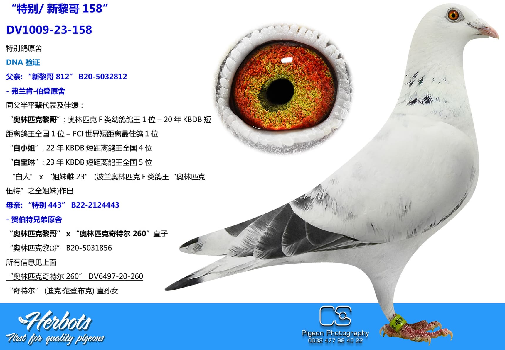 pigeon: “特别/ 新黎哥158”