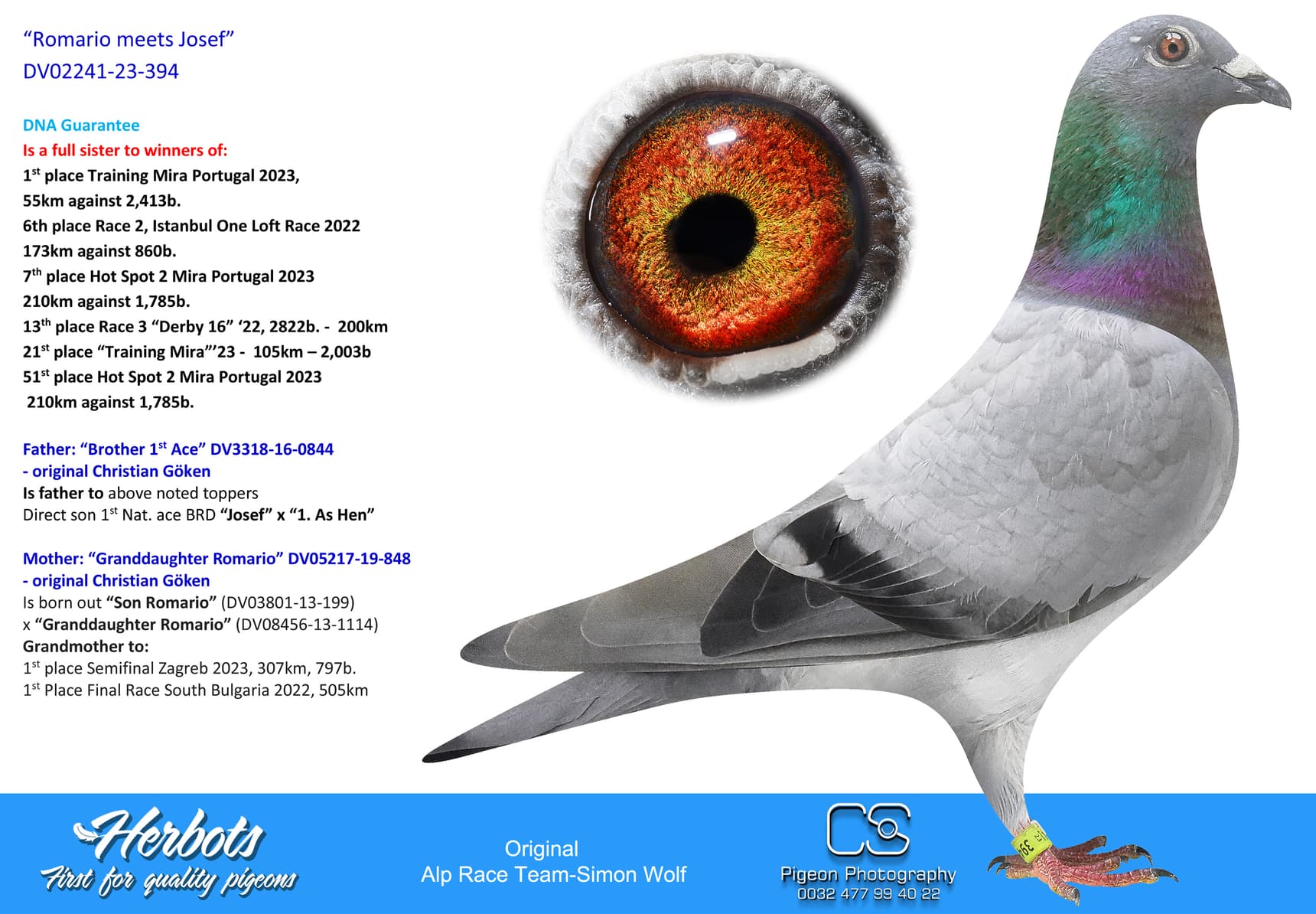 pigeon: undefined