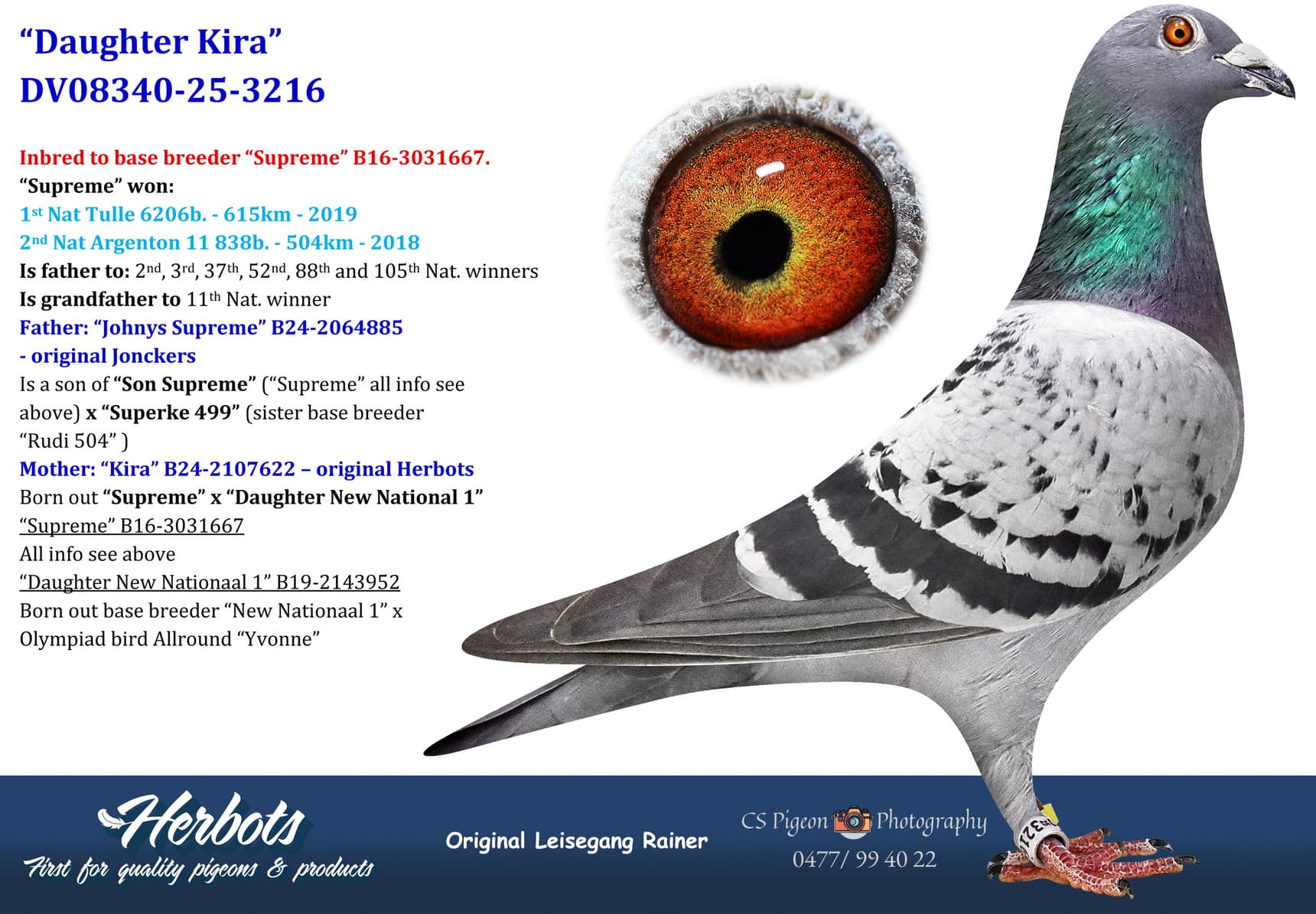 pigeon: undefined
