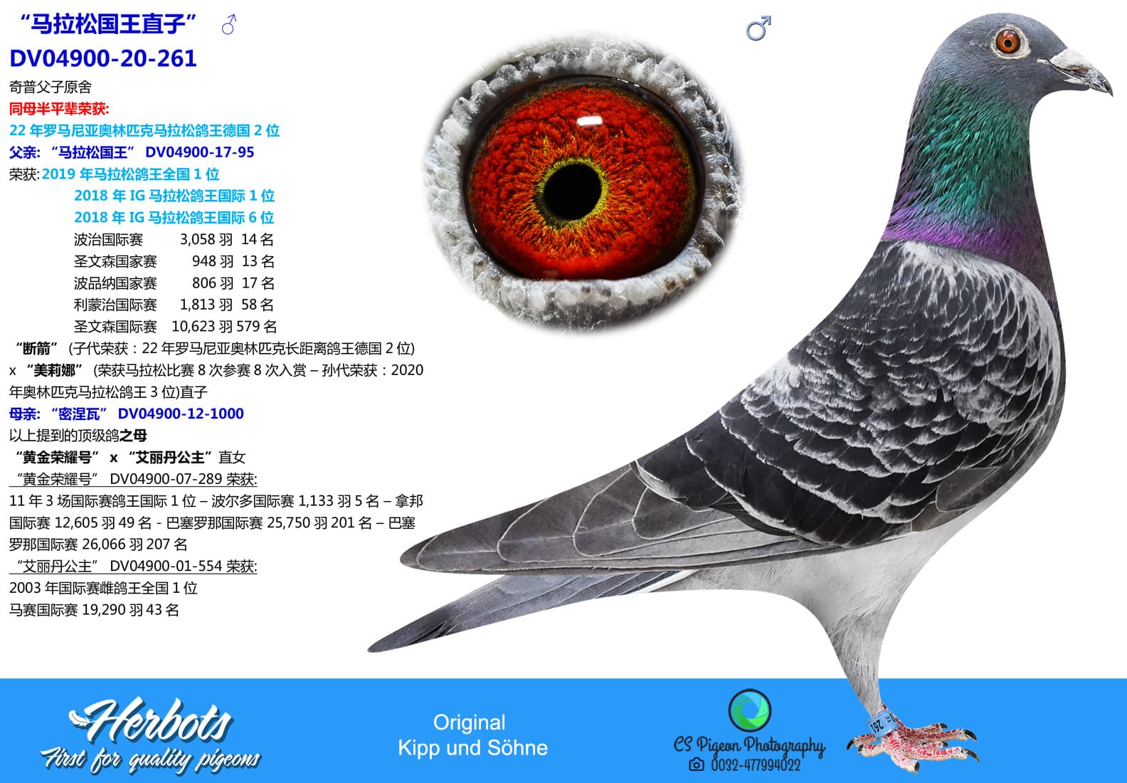 pigeon: undefined
