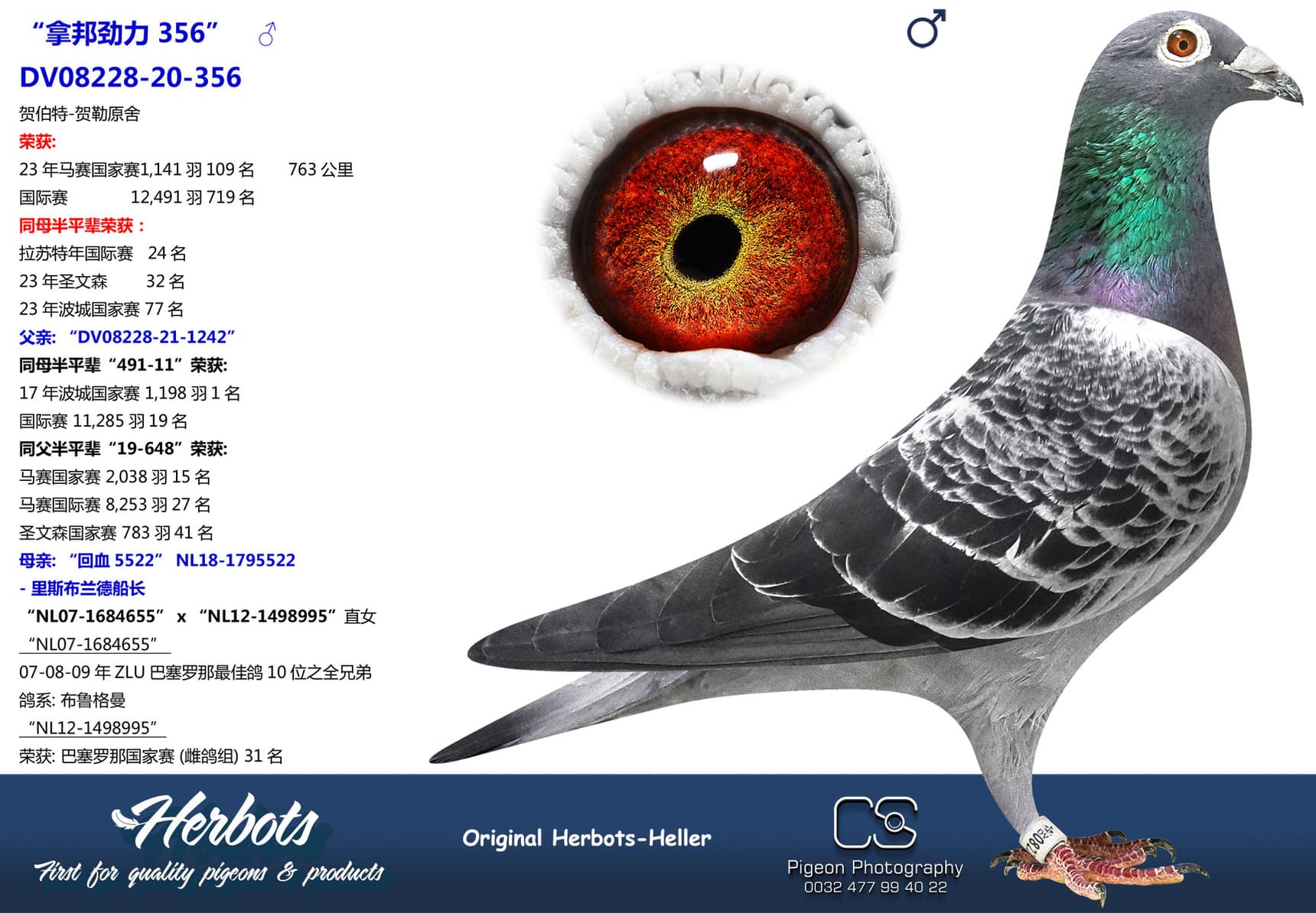 pigeon: “拿邦劲力 356”