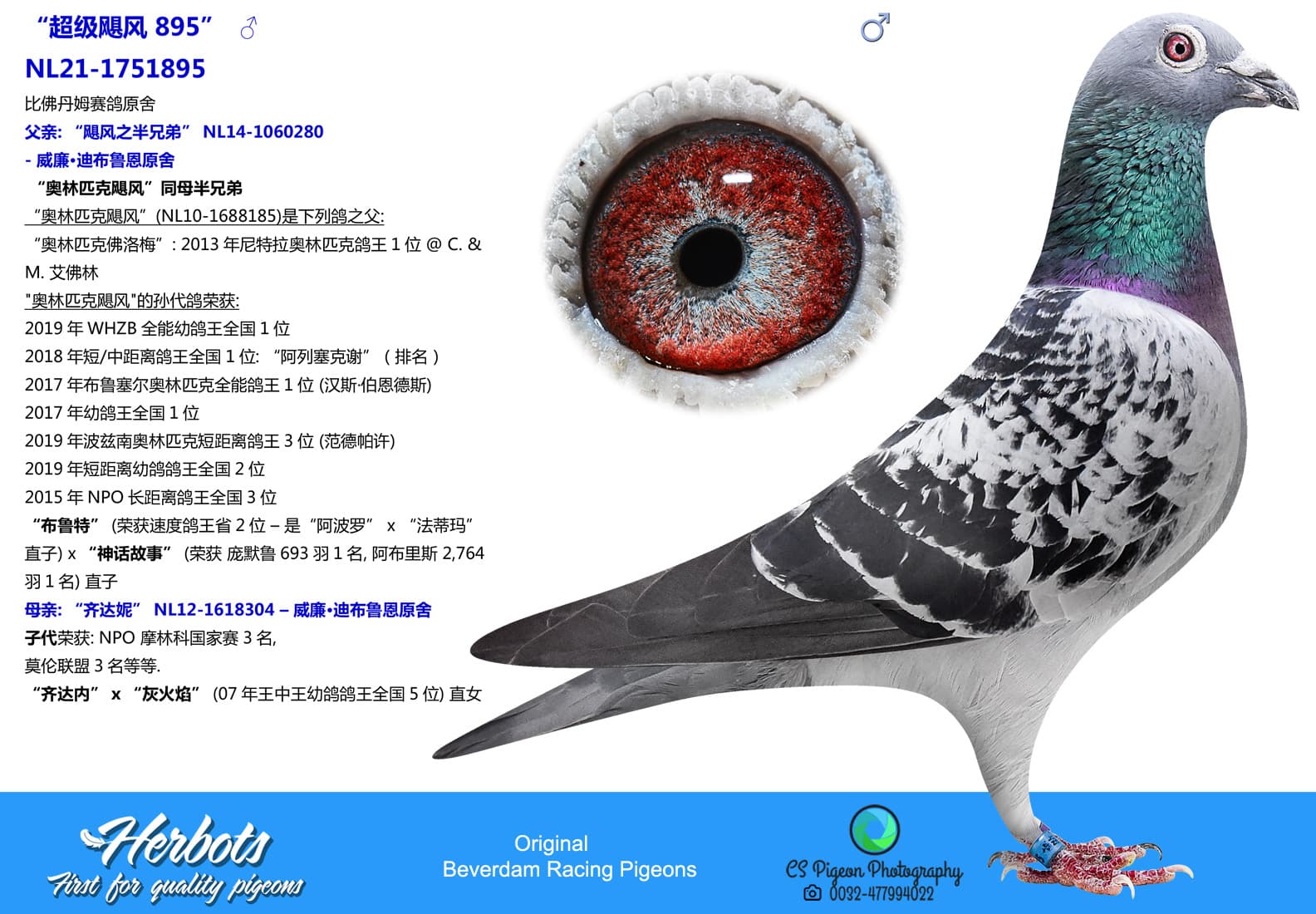 pigeon: “超级飓风 895”