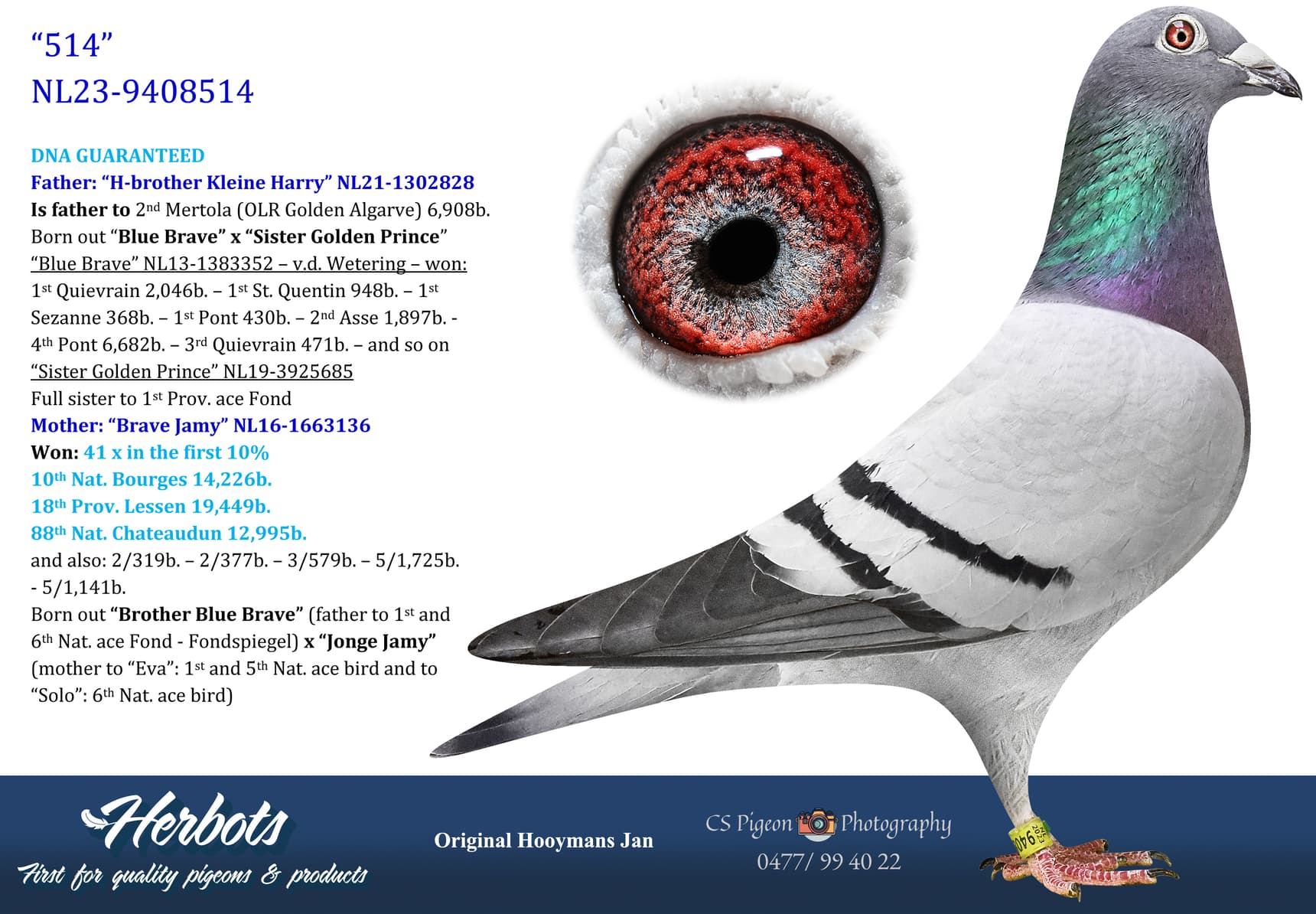 pigeon: undefined