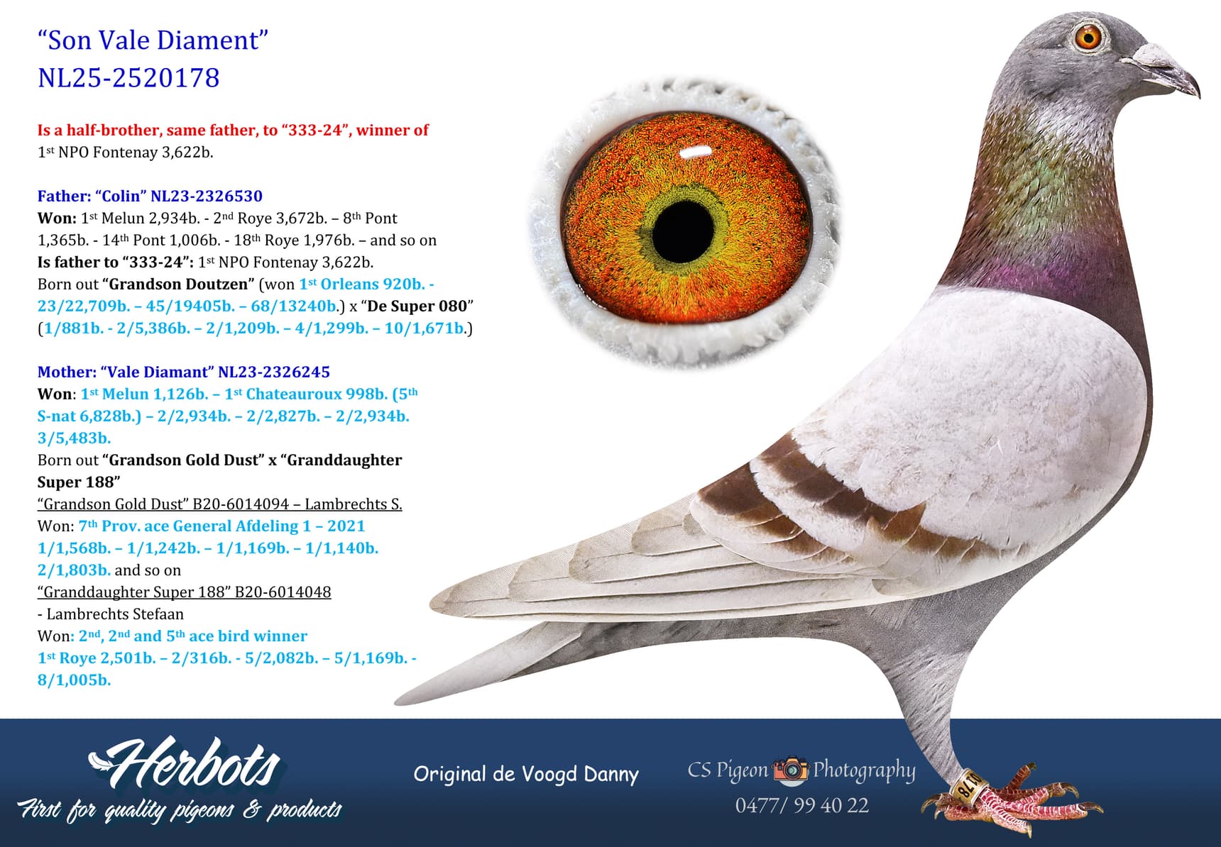 pigeon: undefined